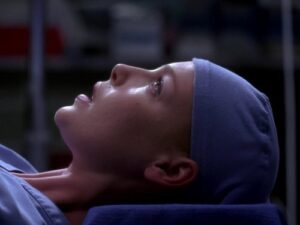 greys-anatomy-pica-pau-bico-de-marfim-ux-2-minha-marca-inesquecivel