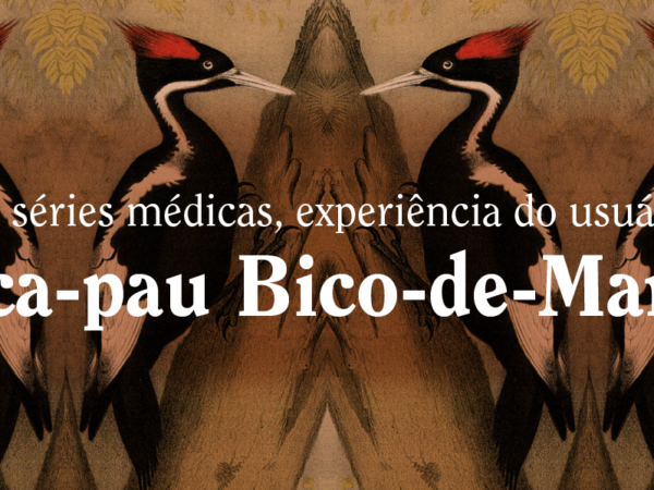 Séries médicas, UX e o Pica-pau Bico-de-Marfim.